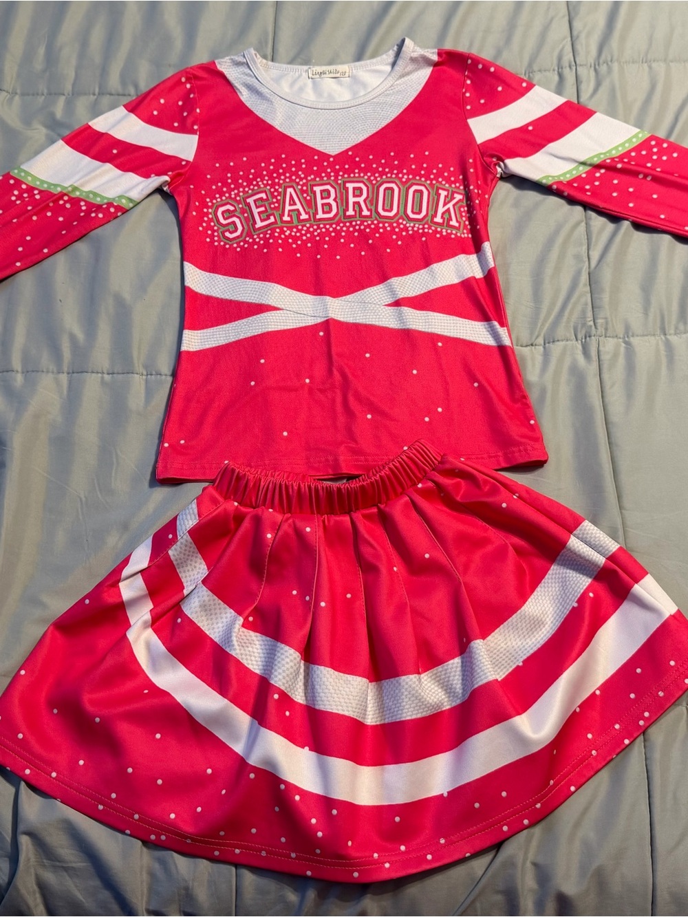 Disney Z-O-M-B-I-E-S Seabrook High Cheerleader Costume Set Size 120 (US 5-6)